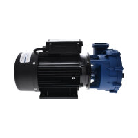 Gecko Maelstrom MS-1 Whirlpoolpumpe - 2.5HP - 2-Speed