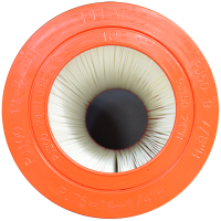Whirlpool-Filter PJ100