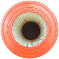 Whirlpool-Filter PJ150