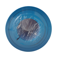 Whirlpool-Filter BU25M mit Microban