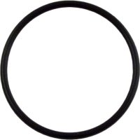 Waterway 805-0229 2-Zoll O-Ring / Dichtring